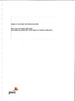 Báo cáo tài chính hợp nhất năm 2014 (đã kiểm toán) - Công ty Cổ phần Tập đoàn Hoa Sen