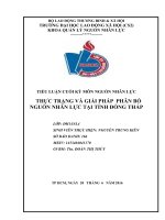 THỰC TRẠNG VỀ VẤN ĐỀ PHÂN BỐ NGUỒN NHÂN LỰC TẠI TỈNH ĐỒNG THÁP