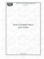 Báo cáo tài chính hợp nhất quý 1 năm 2015 - Công ty cổ phần Tập đoàn Hòa Phát