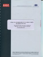 Báo cáo tài chính năm 2012 (đã kiểm toán) - Công ty Cổ phần Đầu tư và Phát triển Đa Quốc Gia I.D.I