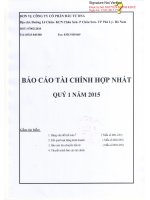 Báo cáo tài chính hợp nhất quý 1 năm 2015 - Công ty cổ phần Đầu tư DNA