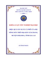 Hiệu quả sản xuất cà phê của hộ nông dân trên địa bàn xã konggang, huyện đak đoa, tỉnh gia lai