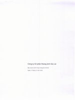 Báo cáo tài chính hợp nhất quý 4 năm 2009 - Công ty Cổ phần Hoàng Anh Gia Lai