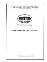 Báo cáo thường niên năm 2012 - Công ty Cổ phần Đầu tư và Xây dựng HUD4