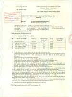 Báo cáo tình hình quản trị công ty - Công ty Cổ phần Thực phẩm Sao Ta