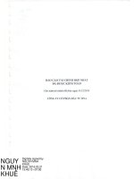 Báo cáo tài chính hợp nhất năm 2015 (đã kiểm toán) - Công ty cổ phần Đầu tư DNA