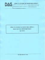 Báo cáo tài chính hợp nhất quý 2 năm 2012 - Công ty Cổ phần Tập đoàn Nhựa Đông Á