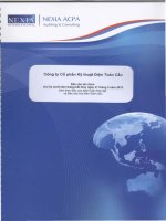 Báo cáo tài chính công ty mẹ năm 2012 (đã kiểm toán) - Công ty cổ phần Kỹ thuật điện Toàn Cầu