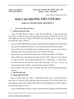 Báo cáo thường niên năm 2011 - Công ty Cổ phần Hãng sơn Đông Á