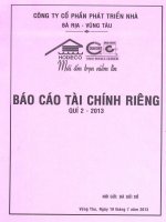 Báo cáo tài chính công ty mẹ quý 2 năm 2013 - Công ty Cổ phần Phát triển nhà Bà Rịa-Vũng Tàu