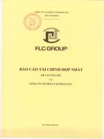 Báo cáo tài chính hợp nhất quý 2 năm 2012 - Công ty cổ phần Tập đoàn FLC