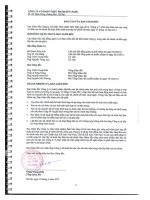 Báo cáo tài chính năm 2011 (đã kiểm toán) - CTCP Thực phẩm Hữu Nghị