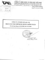 Báo cáo tài chính năm 2007 (đã kiểm toán) - Công ty Cổ phần Sữa Hà Nội