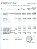 Báo cáo KQKD hợp nhất quý 3 năm 2010 - Công ty Cổ phần Vật tư tổng hợp và Phân bón Hóa sinh