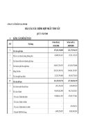 Báo cáo tài chính quý 3 năm 2008 - Công ty Cổ phần Full Power