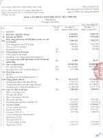 Báo cáo tài chính hợp nhất quý 1 năm 2016 - Ngân hàng Thương mại Cổ phần Xuất nhập khẩu Việt Nam