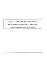 Báo cáo tài chính hợp nhất quý 4 năm 2015 - Công ty Cổ phần Tập đoàn Nhựa Đông Á