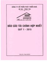 Báo cáo tài chính hợp nhất quý 1 năm 2015 - Công ty Cổ phần Phát triển nhà Bà Rịa-Vũng Tàu