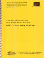 Báo cáo tài chính công ty mẹ năm 2009 (đã kiểm toán) - Công ty Cổ phần Thương mại Hóc Môn