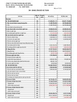 Báo cáo tài chính công ty mẹ quý 1 năm 2011 - Công ty Cổ phần Thương mại Hóc Môn