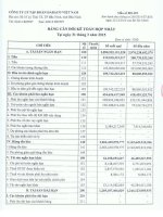 Báo cáo tài chính quý 1 năm 2015 - Công ty Cổ phần Tập đoàn Dabaco Việt Nam