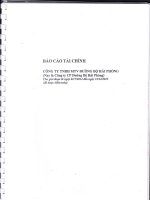 Báo cáo tài chính năm 2015 (đã kiểm toán) - CTCP Đường bộ Hải Phòng