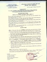 Nghị quyết Hội đồng Quản trị ngày 22-3-2011 - Công ty Cổ phần Tập đoàn Nhựa Đông Á