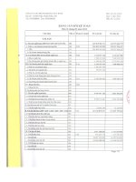 Báo cáo tài chính quý 1 năm 2013 - Công ty Cổ phần Chứng khoán Hòa Bình