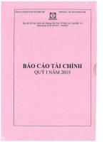 Báo cáo tài chính quý 1 năm 2015 - Công ty Cổ phần Dược phẩm Bến Tre