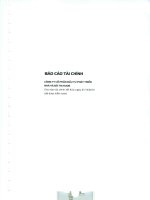 Báo cáo tài chính năm 2015 (đã kiểm toán) - Công ty cổ phần Đầu tư Phát triển nhà và Đô thị HUD 6