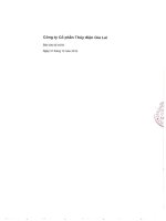 Báo cáo tài chính năm 2015 (đã kiểm toán) -  Công ty Cổ phần Thủy điện Gia Lai