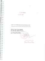 Báo cáo tài chính năm 2010 (đã kiểm toán) - Công ty Cổ phần Quản lý quỹ đầu tư FPT