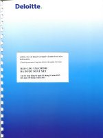 Báo cáo tài chính quý 2 năm 2015 (đã soát xét) - Công ty cổ phần Cơ khí và Khoáng sản Hà Giang
