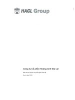 Báo cáo tài chính hợp nhất quý 1 năm 2016 - Công ty Cổ phần Hoàng Anh Gia Lai