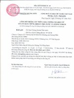 Báo cáo tài chính quý 1 năm 2015 - Công ty cổ phần Thương mại và Khai thác Khoáng sản Dương Hiếu