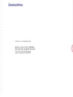 Báo cáo tài chính công ty mẹ năm 2012 (đã kiểm toán) - Công ty Cổ phần FPT