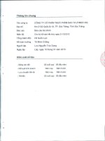 Báo cáo tài chính quý 4 năm 2012 - Công ty Cổ phần Thực phẩm Sao Ta