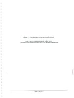 Báo cáo tài chính năm 2014 (đã kiểm toán) - Công ty Cổ phần Đầu tư Dịch vụ Hoàng Huy