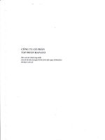 Báo cáo tài chính hợp nhất quý 2 năm 2013 (đã soát xét) - Công ty Cổ phần Tập đoàn Hapaco