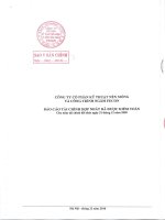 Báo cáo tài chính hợp nhất năm 2009 (đã kiểm toán) - Công ty cổ phần FECON