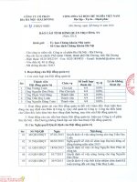 Báo cáo tình hình quản trị công ty - Công ty Cổ phần Bia Hà Nội - Hải Dương