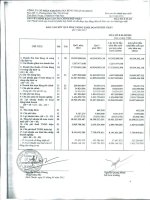 Báo cáo KQKD hợp nhất quý 1 năm 2011 - Công ty Cổ phần Công nghiệp Khoáng sản Bình Thuận