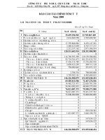 Báo cáo tài chính năm 2008 - CTCP Du lịch và Thương mại DIC