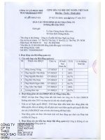 Báo cáo tình hình quản trị công ty - Công ty Cổ phần Thể thao Ngôi sao Geru