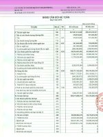 Báo cáo tài chính quý 2 năm 2013 - Công ty Cổ phần Đầu tư Thương mại Thủy Sản