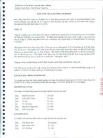 Báo cáo tài chính năm 2013 (đã kiểm toán) - Công ty Cổ phần Cao su Hòa Bình