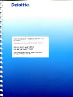 Báo cáo tài chính quý 2 năm 2014 (đã soát xét) - Công ty cổ phần Cơ khí và Khoáng sản Hà Giang