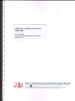 Báo cáo tài chính quý 2 năm 2011 (đã soát xét) - Công ty Cổ phần Hàng hải Đông Đô
