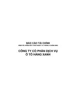 Báo cáo tài chính công ty mẹ năm 2009 (đã kiểm toán) - Công ty Cổ phần Dịch vụ Ô tô Hàng Xanh