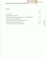 Báo cáo tài chính hợp nhất quý 2 năm 2013 (đã soát xét) - Công ty Cổ phần Tập đoàn Dabaco Việt Nam
